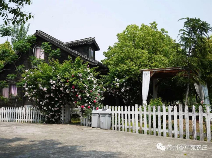 紫藤木屋