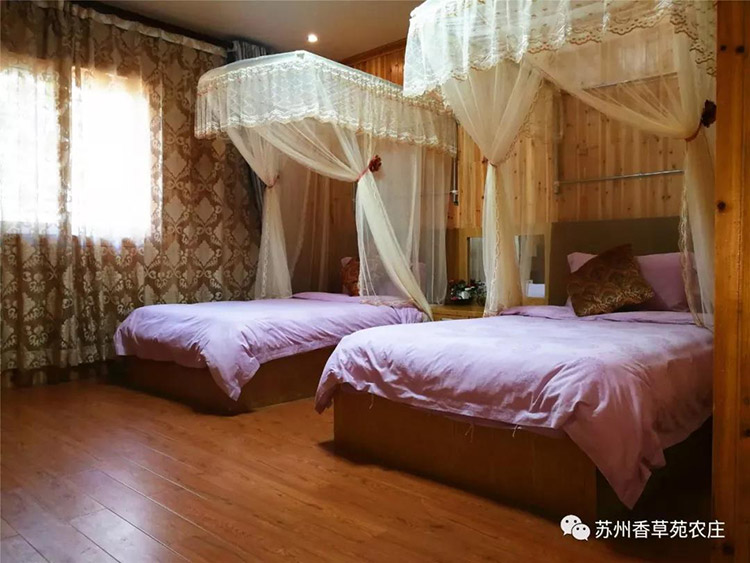 独立标准木屋套房