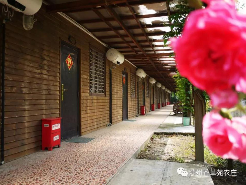 独立标准木屋套房