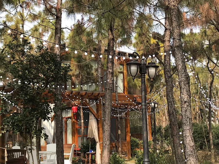 农家小院