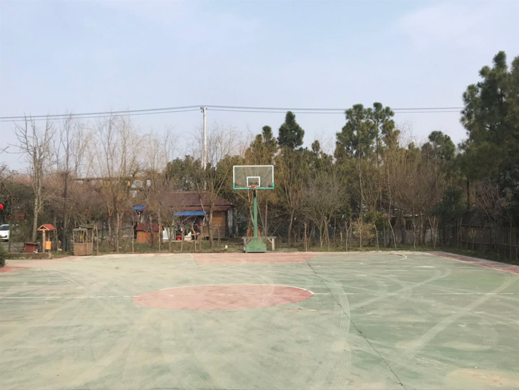 大门草坪停车场