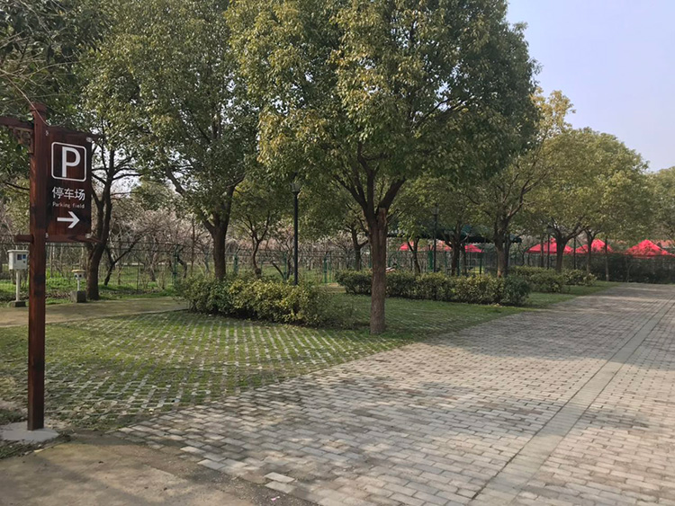 大门草坪停车场