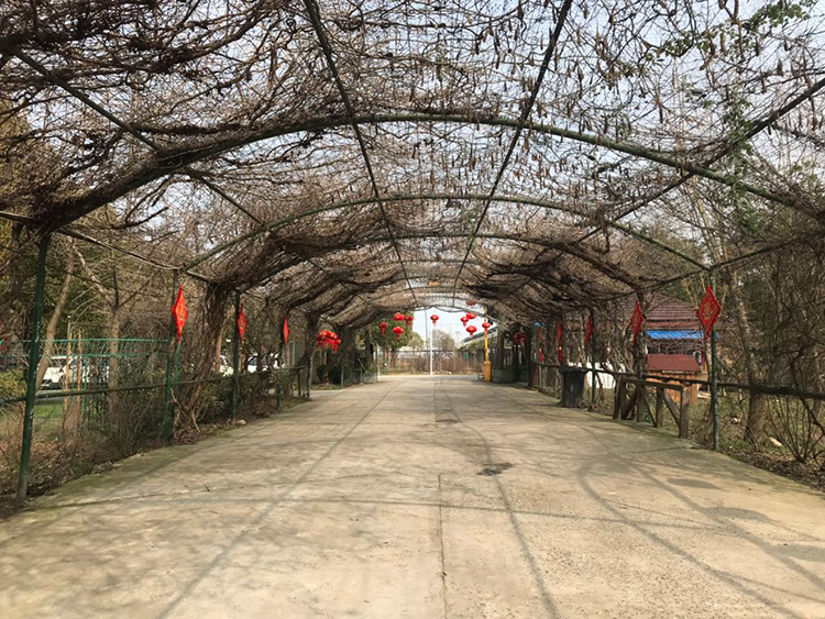 大门草坪停车场