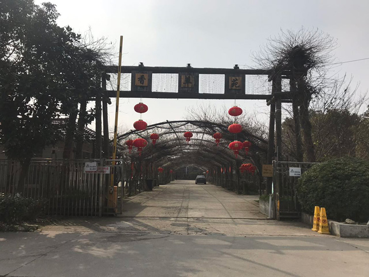 大门草坪停车场