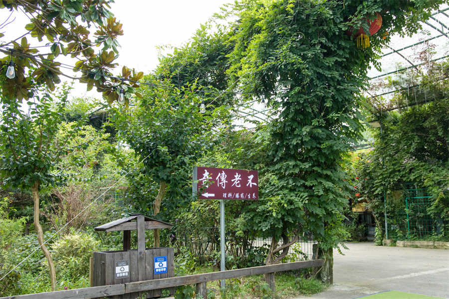 生态养生餐厅